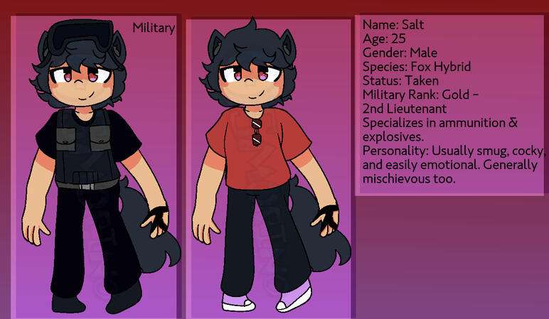 Salt Reference Sheet